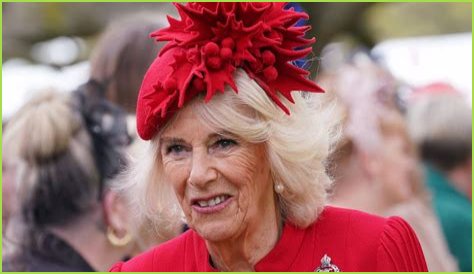 Unveiling The Journey Of Camilla Araujo Leal